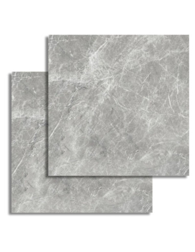 CALIA GRIS 61 X 61